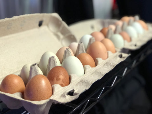 1 Dozen Farm Fresh Eggs